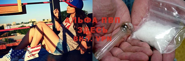 винт Алзамай