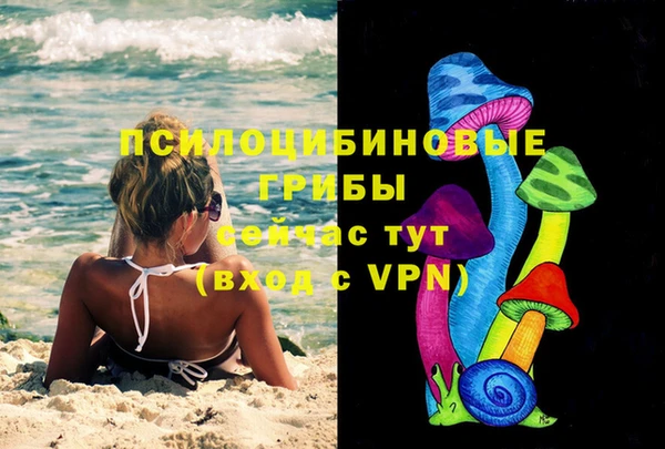 винт Алзамай