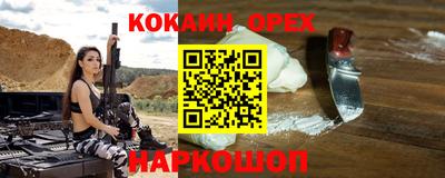 тгк Новодвинск