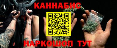 тгк Новодвинск