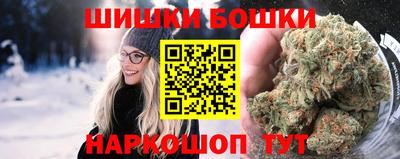тгк Новодвинск