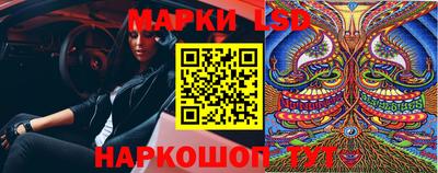 тгк Новодвинск