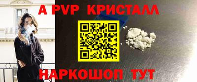 тгк Новодвинск