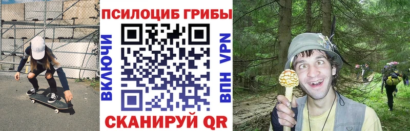 Псилоцибиновые грибы MAGIC MUSHROOMS  Сосновоборск 
